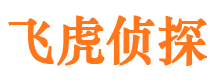 娄烦市侦探调查公司